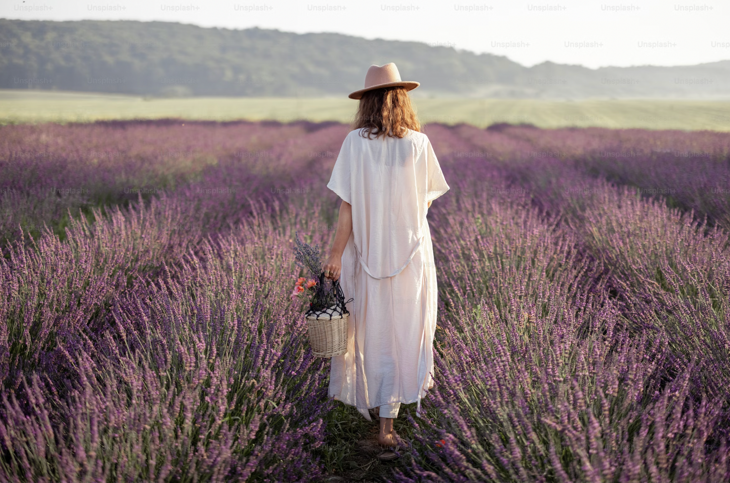 Lavender from Bulgaria: The Calm Keeper