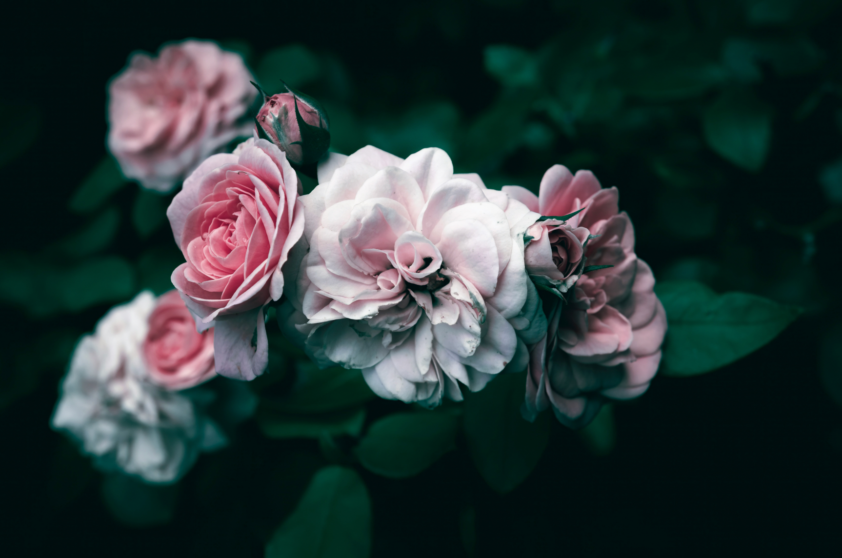The 30-Second Reset: How Scent Becomes a Nervous System Ritual