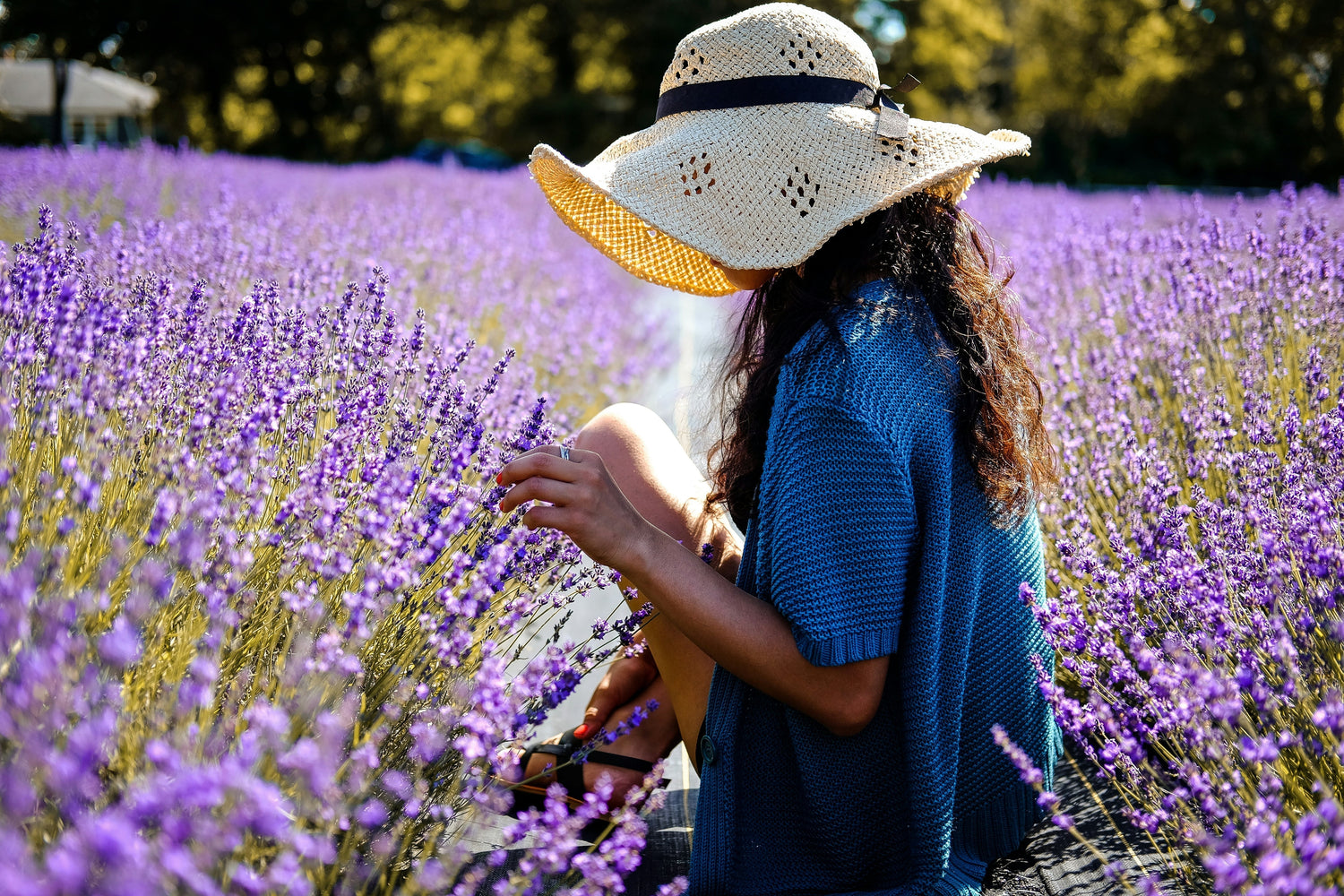 Breathe in the East: A Morning Ritual for Clarity and New Beginnings