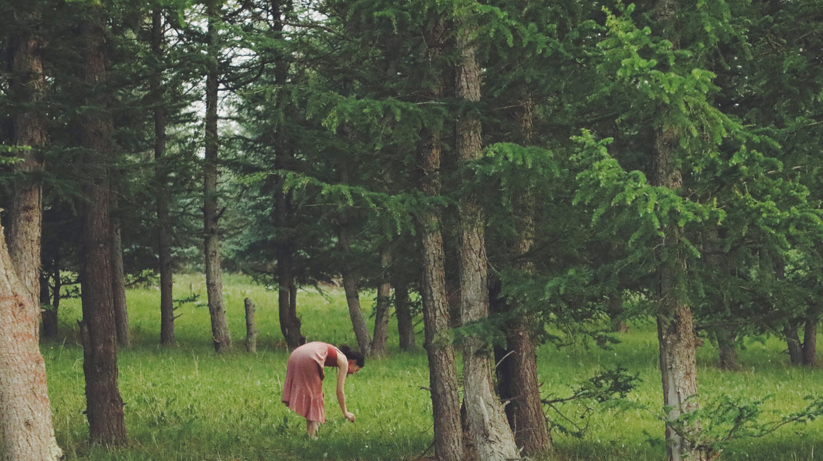 Forest Bathing Without a Forest: How to Bring Nature's Nervous System Benefits Indoors